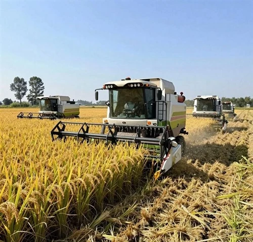 A Rice Harvester Is An Agricultural Machine That Integrates Functions Such As...